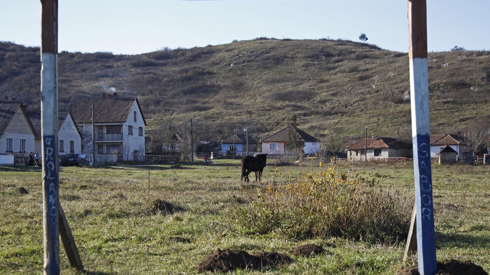 Népszava fotó