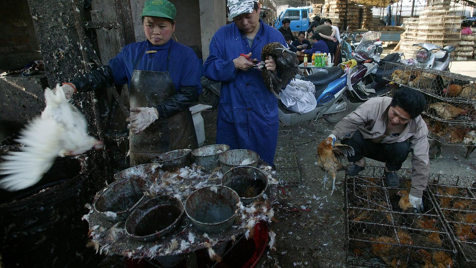 Illusztráció. Fotó: China Photos/Getty Images