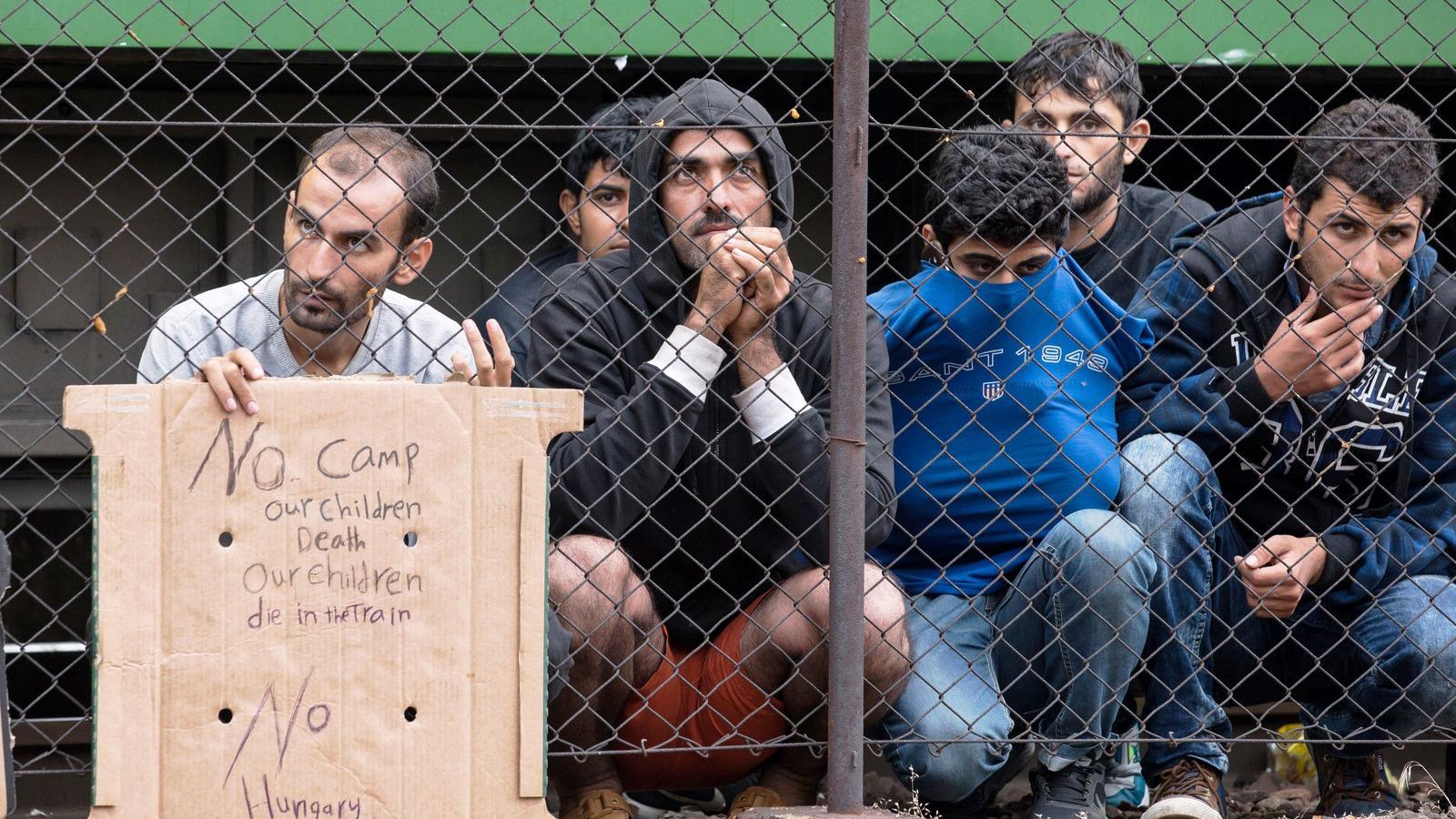 A menekültek korábbi tüntetése Bicskénél 2015-ben FOTÓ:Matt Cardy/Getty Images 