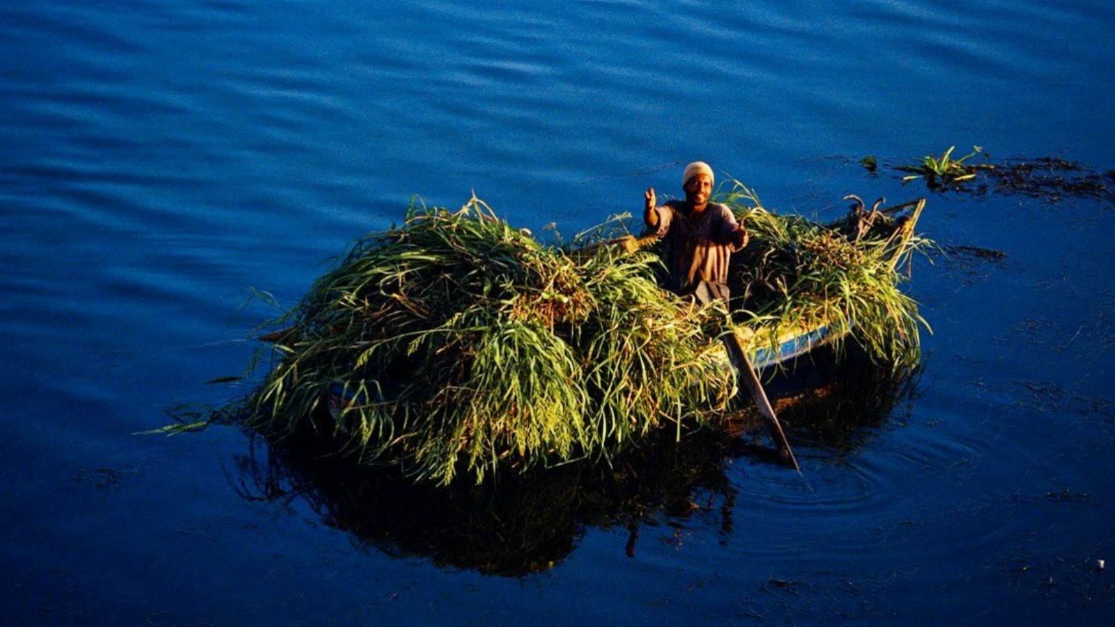 Forrás: Yann Arthus-Bertrand/Facebook