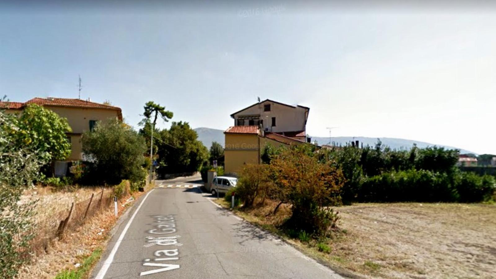 Tikkadt szöcskenyájak legelésznek... Olaszország, Prato - Google Street View