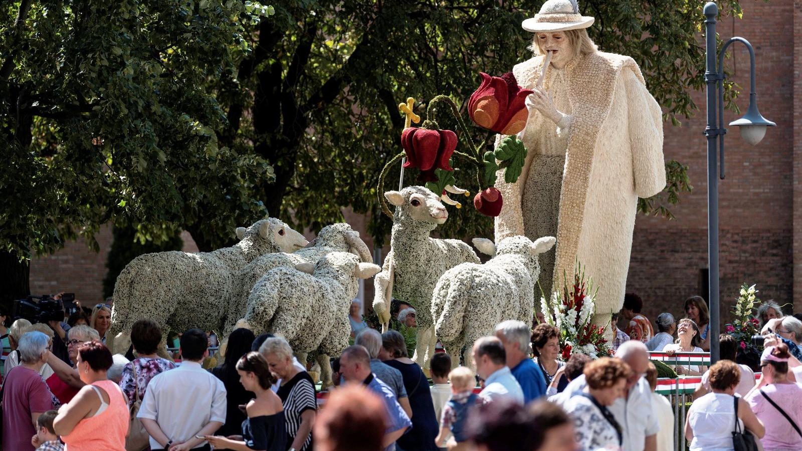  MTI Fotó: Szigetváry Zsolt