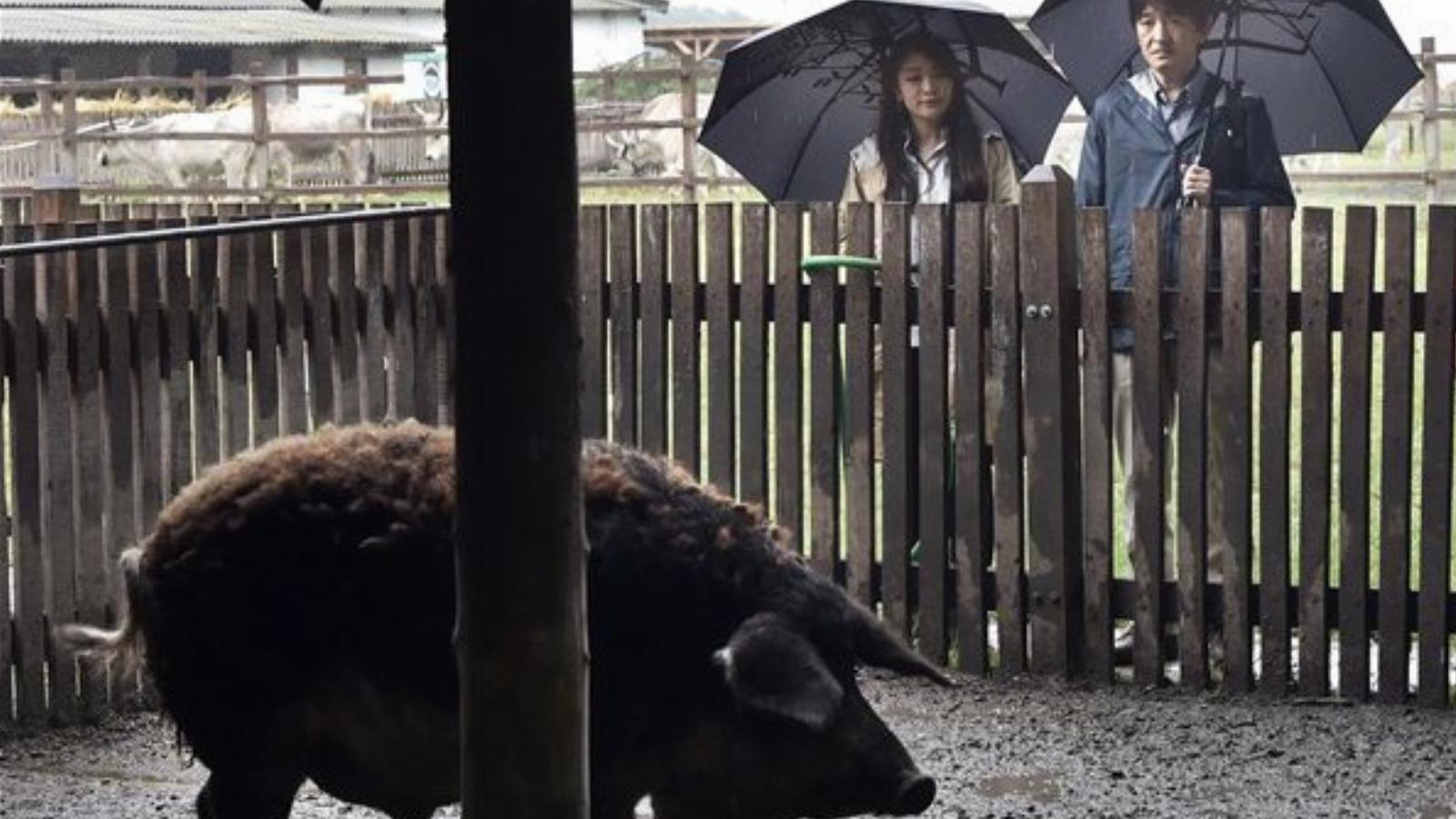 A japán herceg és leánya Bugacon. MTI Fotó: Máthé Zoltán