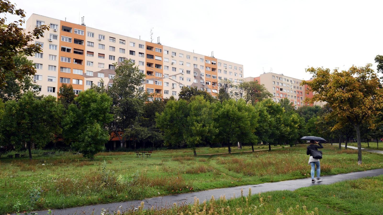 BÉKÉS PARK - A tervek szerint a 14 méter magas fekete obeliszket egy
játszótér közelében helyezhetik el - Fotó: Szalmás Péter