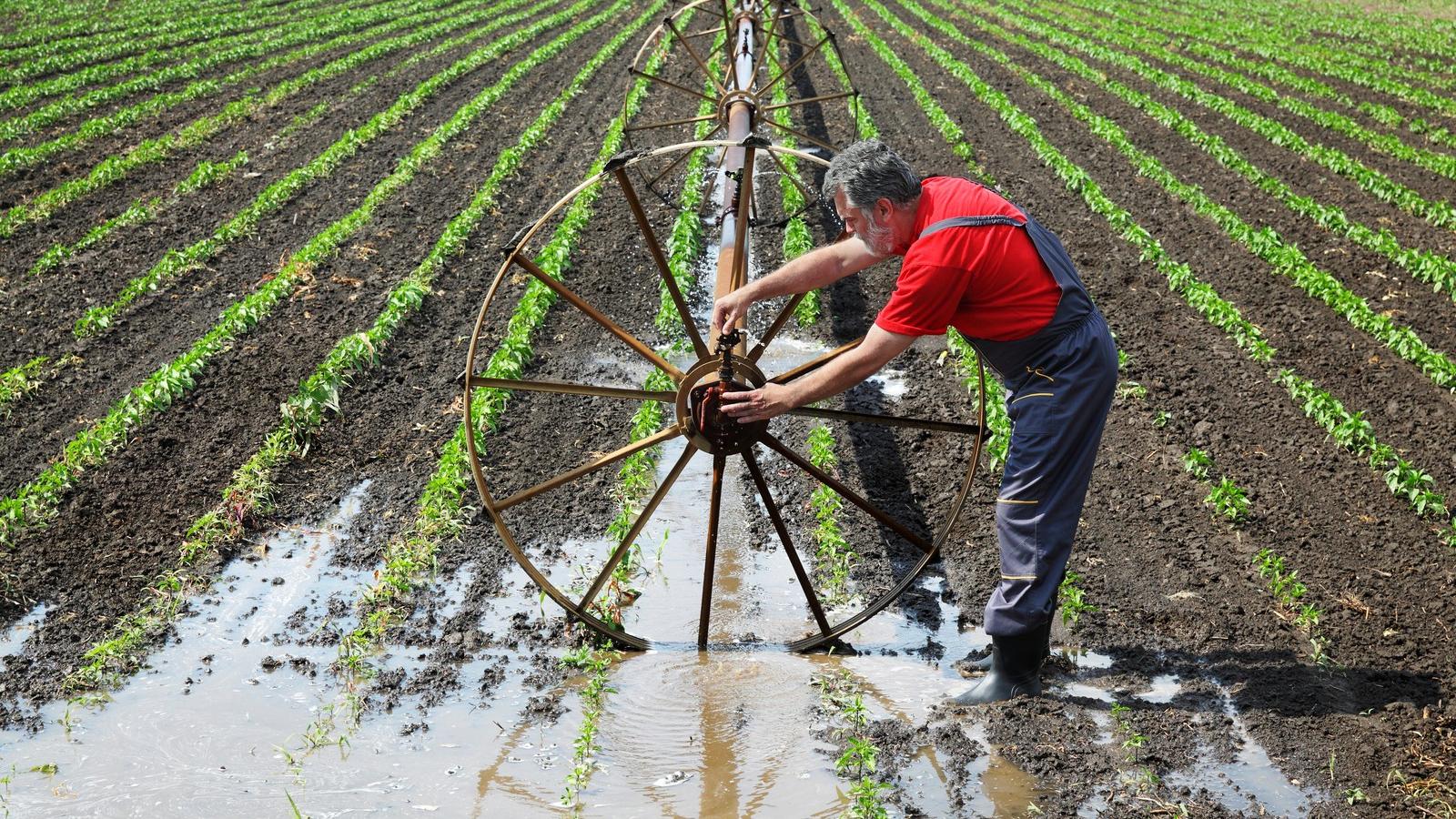 A víztakarékos megoldások nem terjedtek el FOTÓ: SHUTTERSTOCK