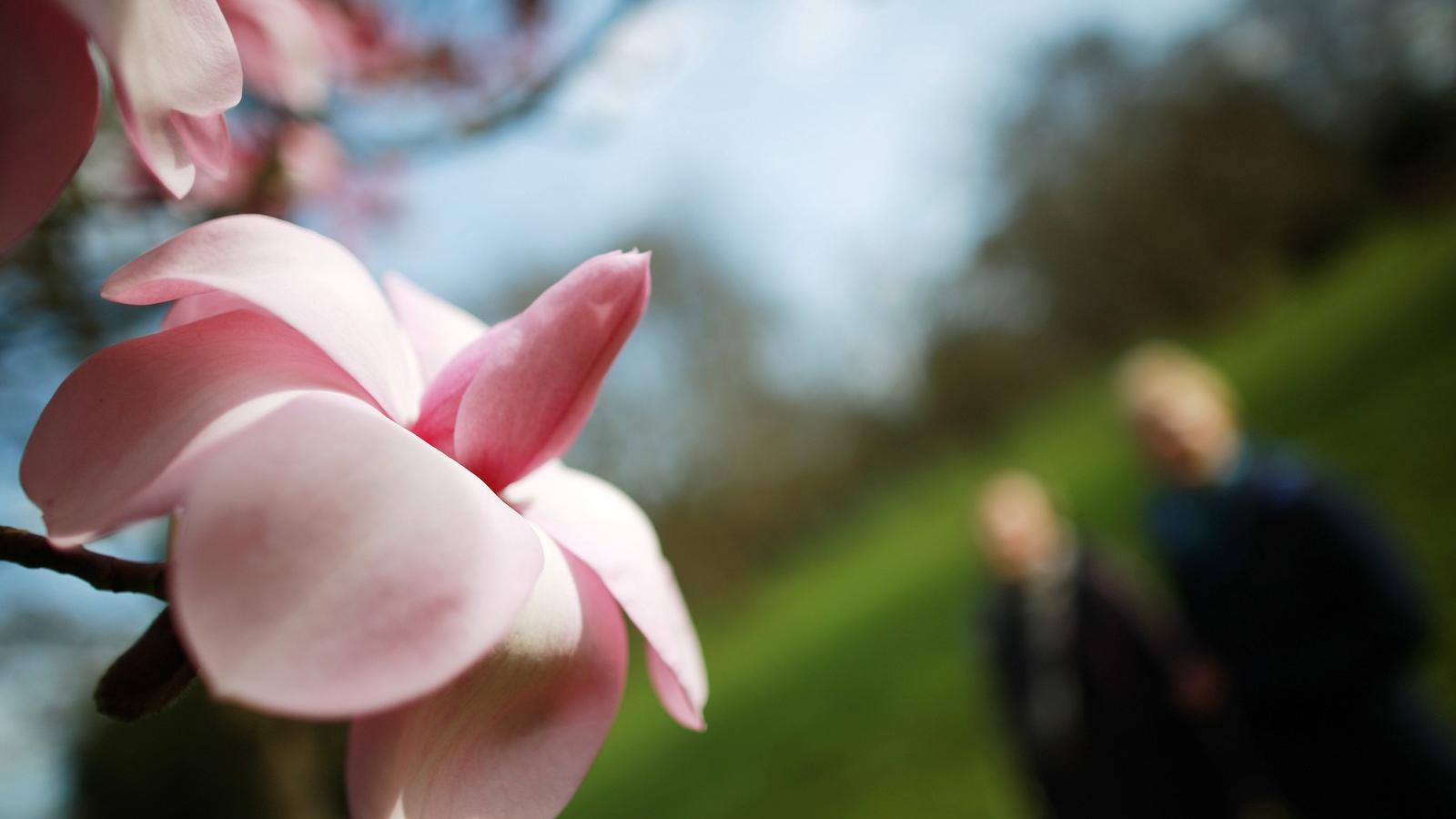 FOTÓ: Getty Images, Peter Macdiamid