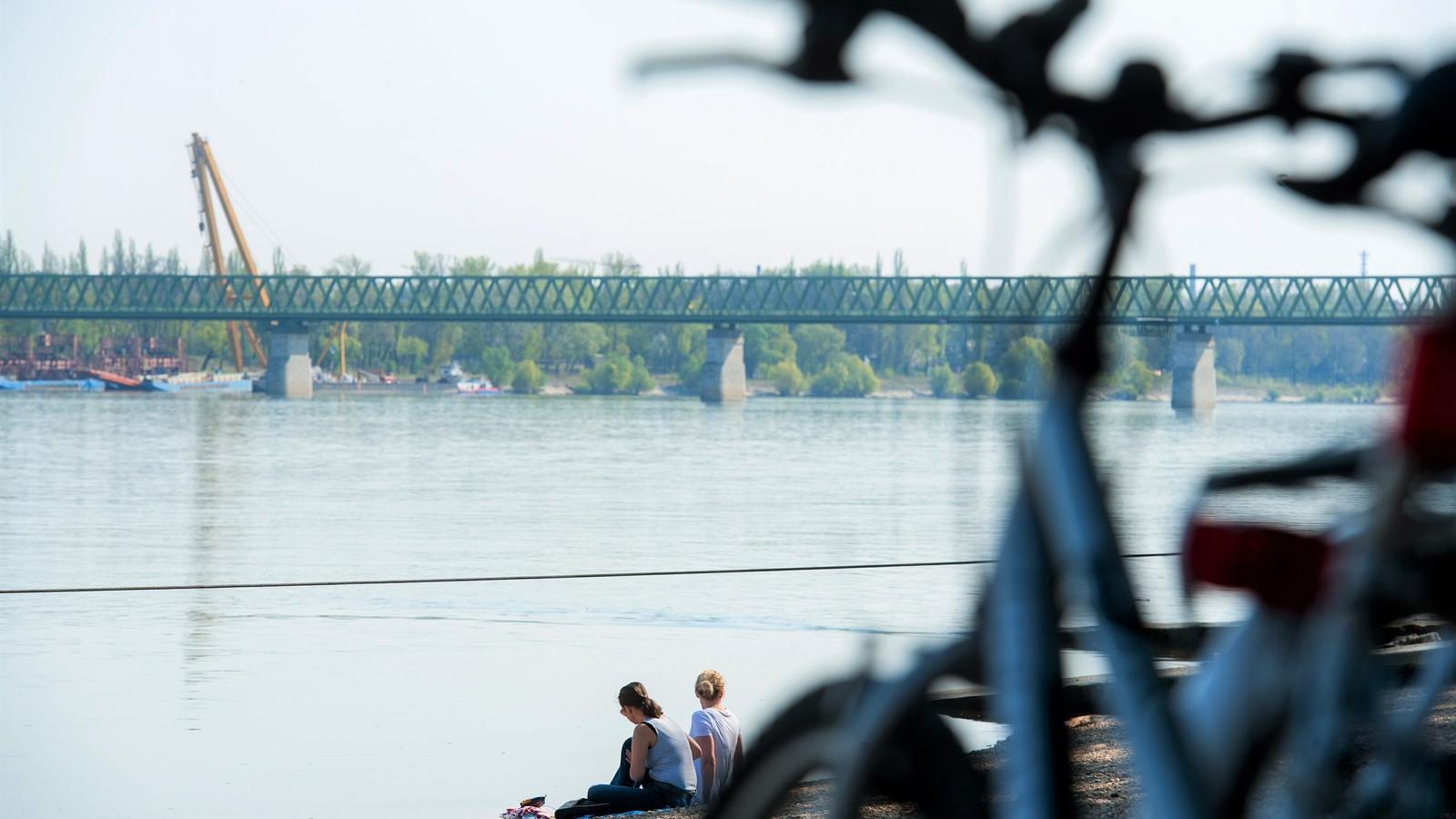 TORKOLAT - Itt ér a Dunába az Aranyosipatak FOTÓ: MOLNÁR ÁDÁM