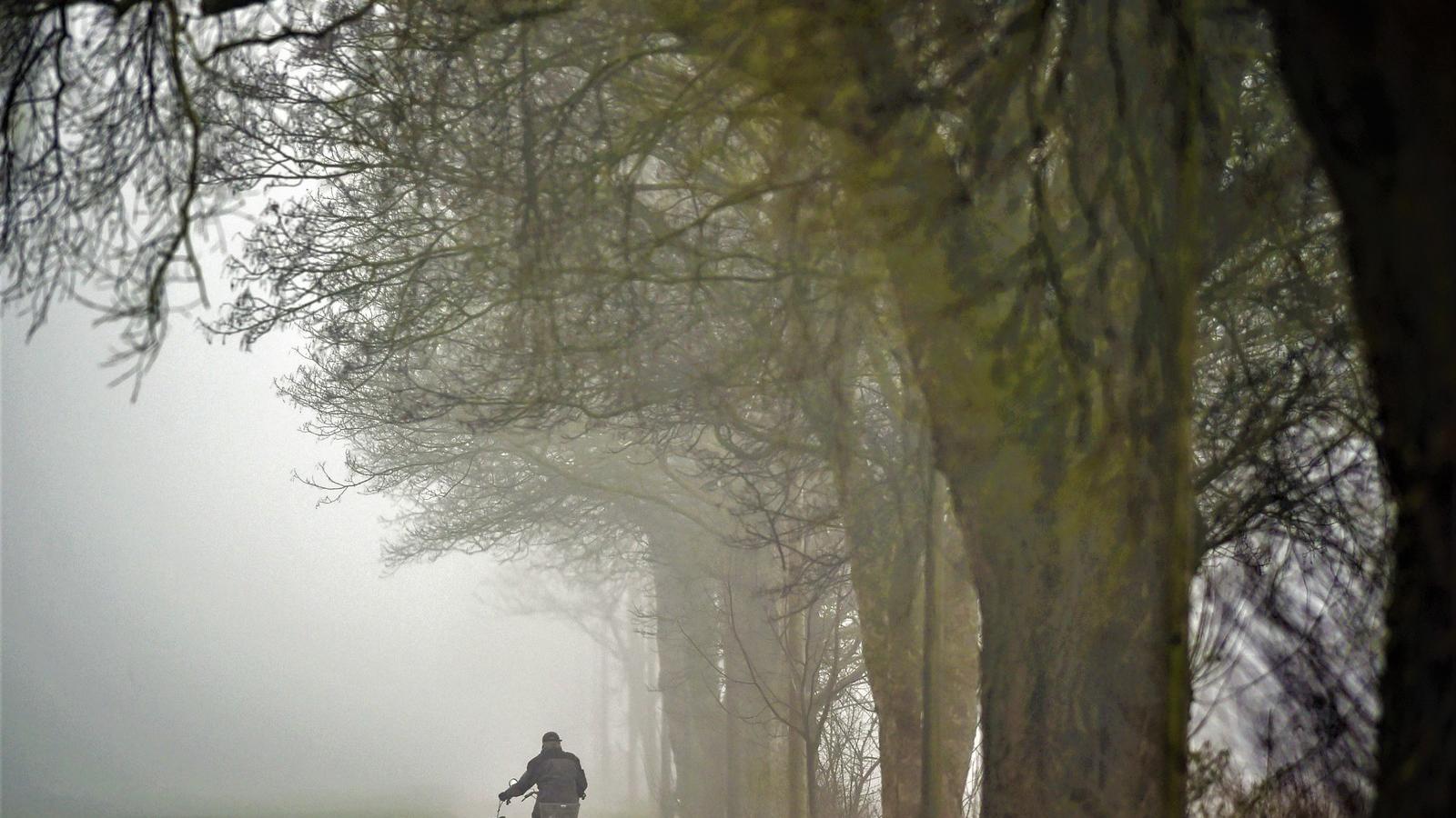 Illusztráció/AFP fotó