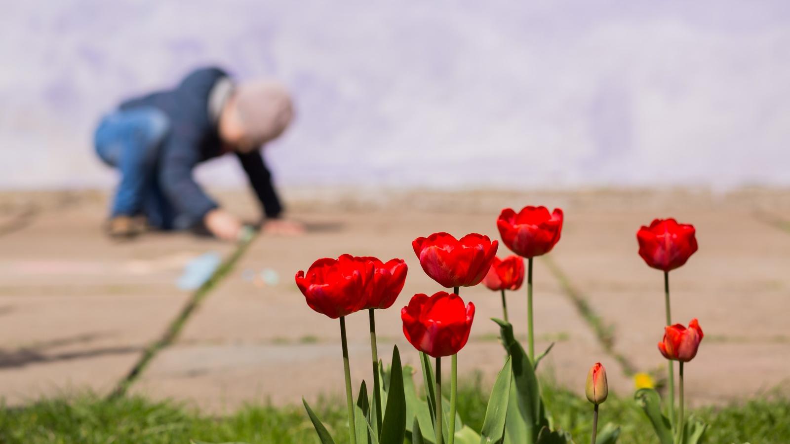 Fotó: Shutterstock