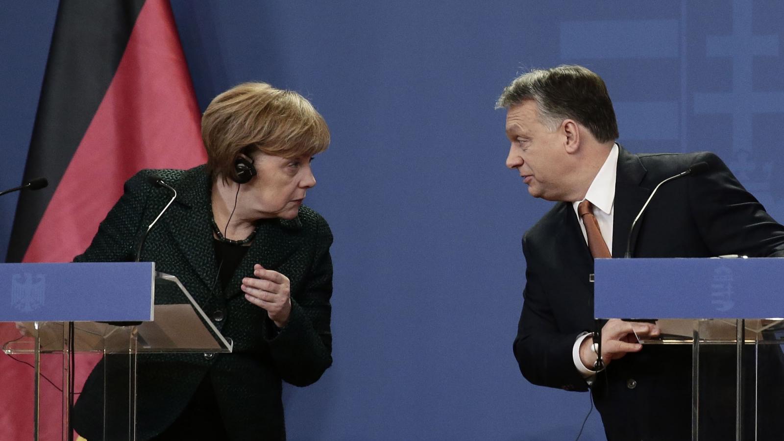 Fotó: AFP/Anadolu Agency/Kurucz Árpád