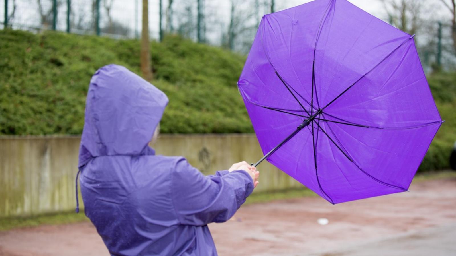 Illusztráció/Shutterstock