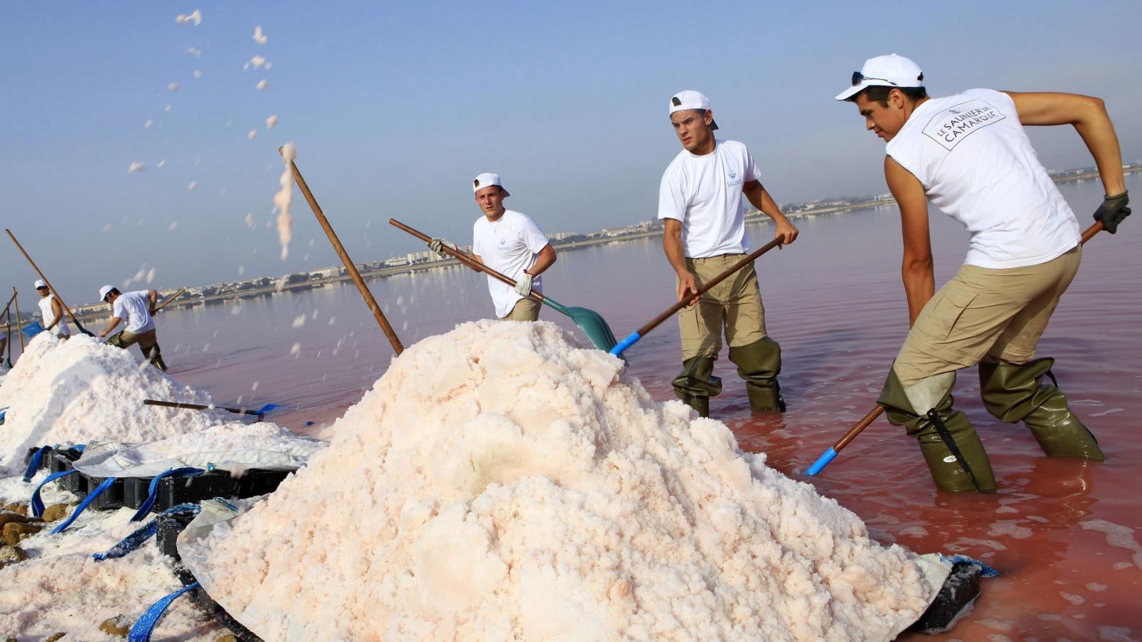 CAMARGUE - Dél-Nyugat Franciaországban található a világ legősibb sókertje FOTÓ: NICOLAS JOSÉ/HEMIS.FR/AFP