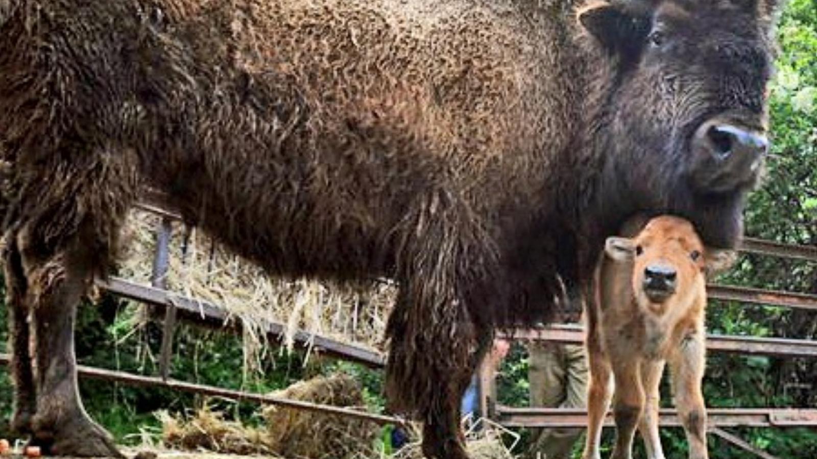 Forrás: bama.hu  Fotó: Löffler Péter(Dunántúli Napló)