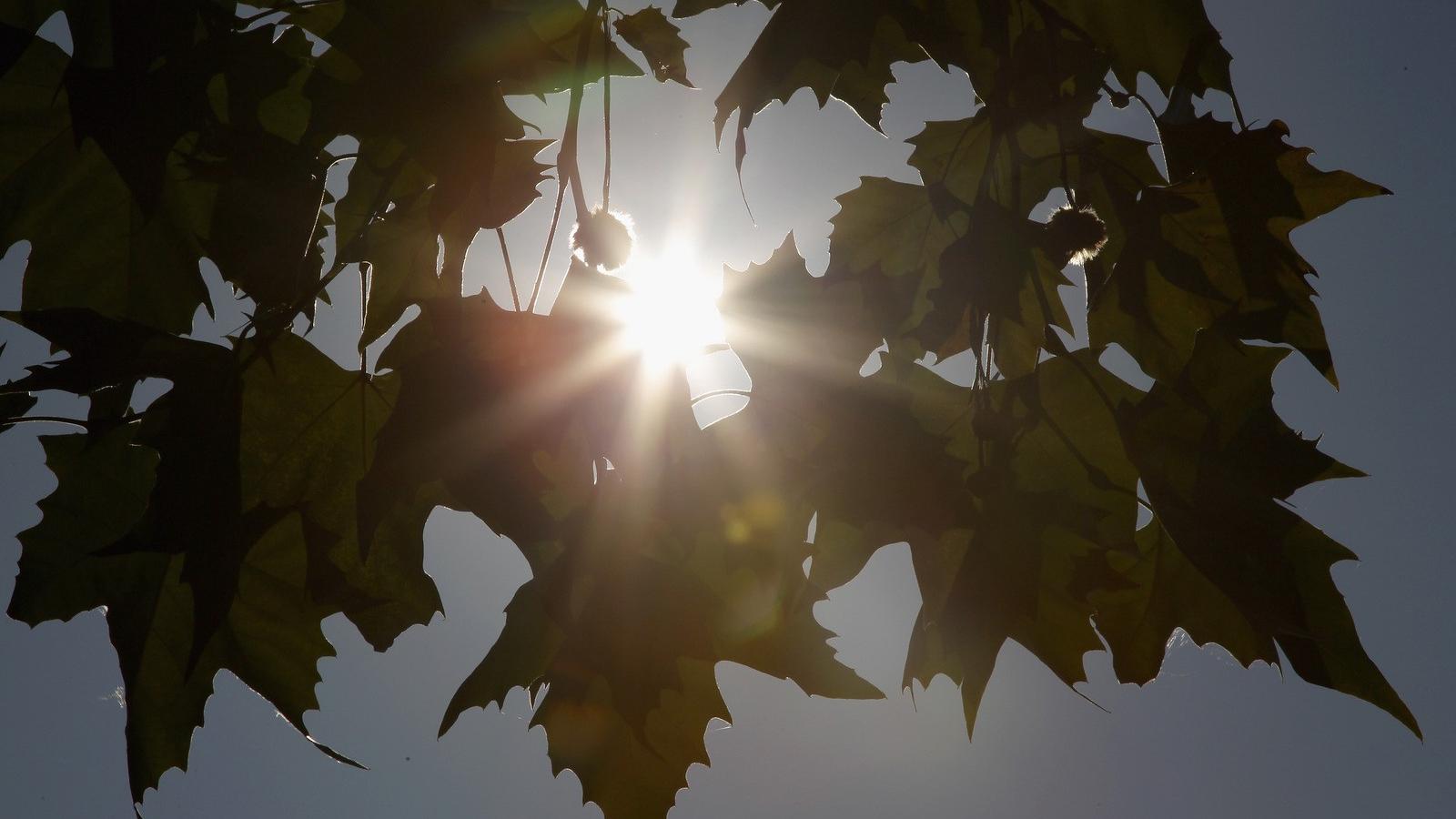 Fotó: Andreas Rentz, Getty Images News.