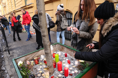 Népszava fotó/Vajda József