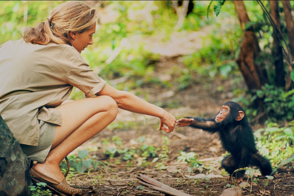 FORRÁS: NATIONAL GEOGRAPHIC