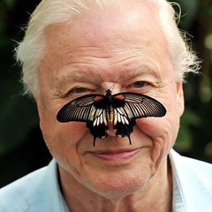 Illusztráció: Facebook/Sir David Attenborough