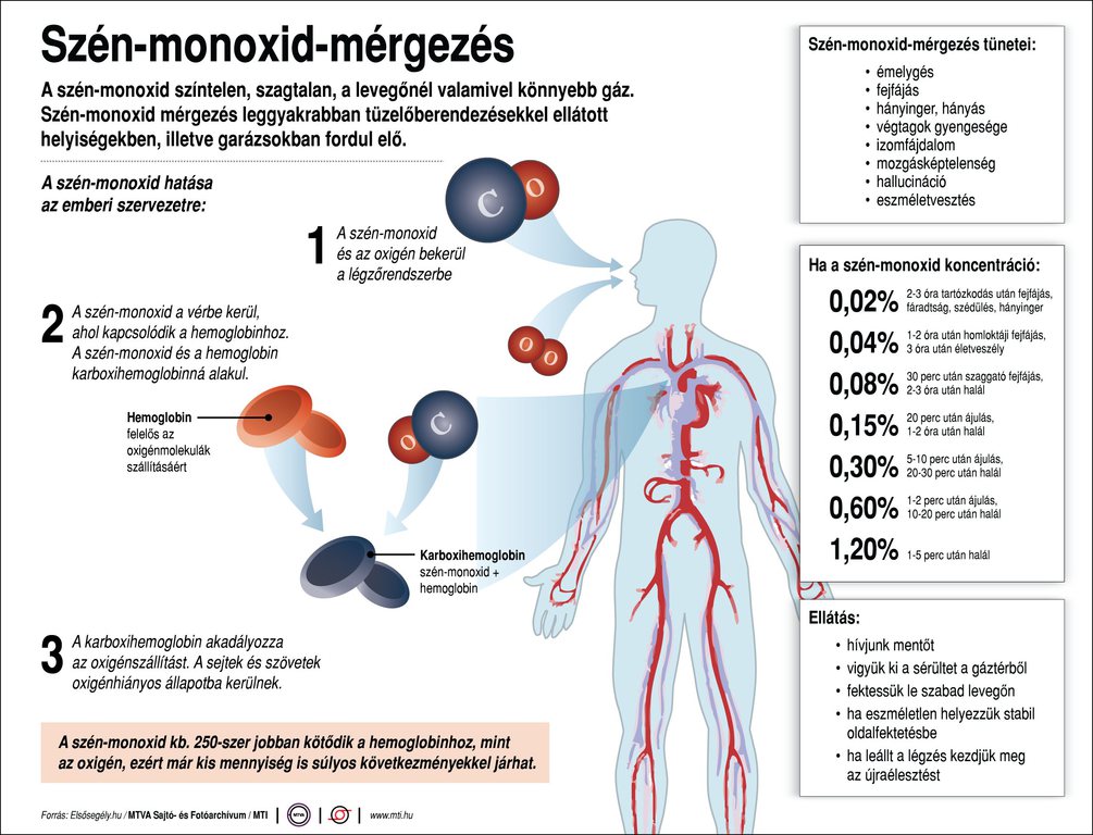 Forrás: MTI