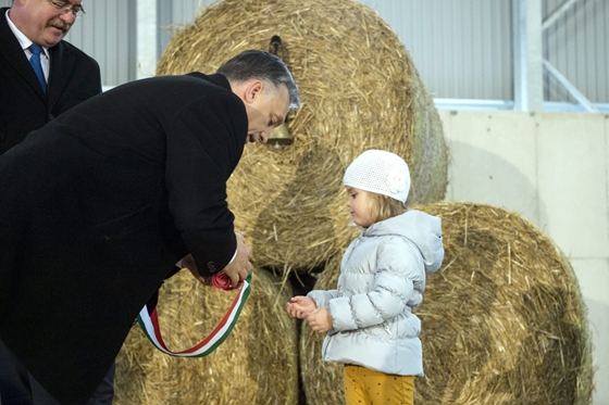 Forrás: Fotó: MTI / Koszticsák Szilárd