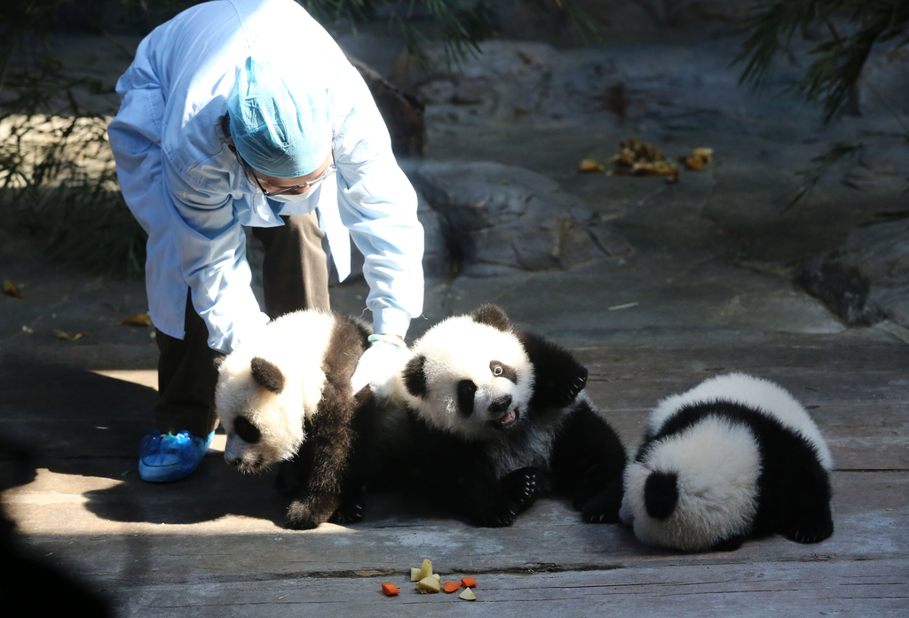 FOTÓ: Getty Images/ChinaFotoPress