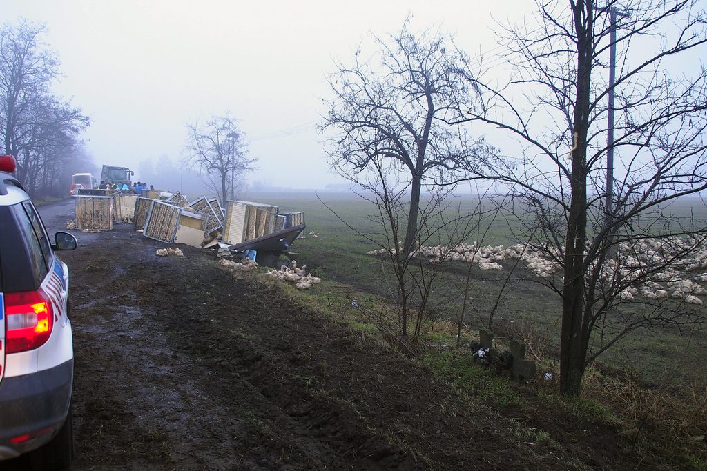 MTI Fotó: Donka Ferenc