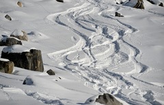 A pálya, ahol a tragikus baleset történt/Getty Images