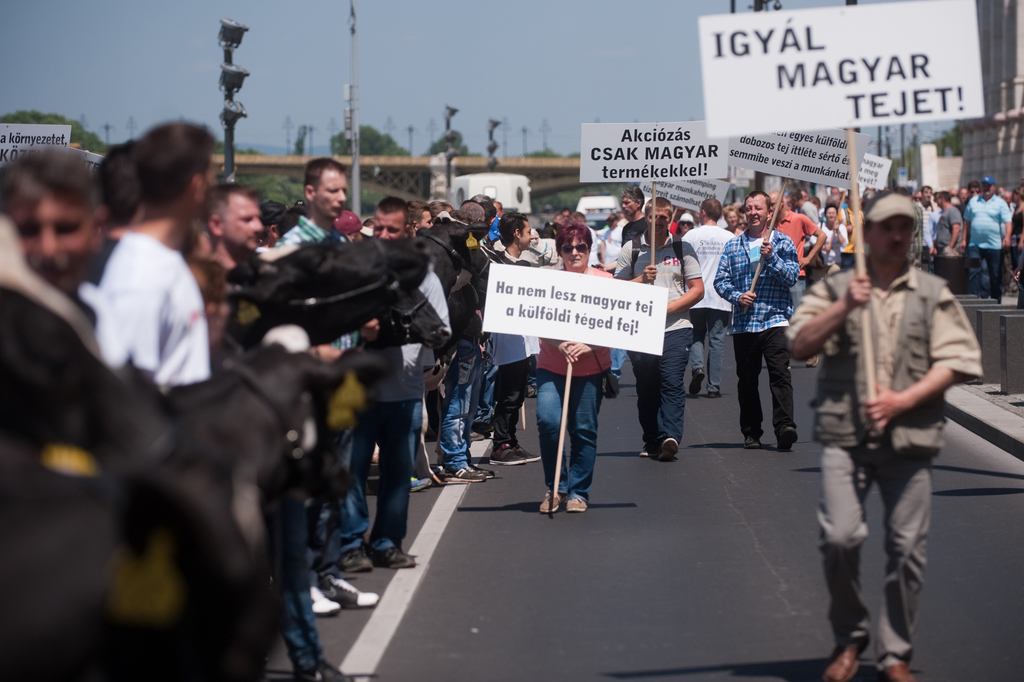 Fotó: Tóth Gergő, Népszava