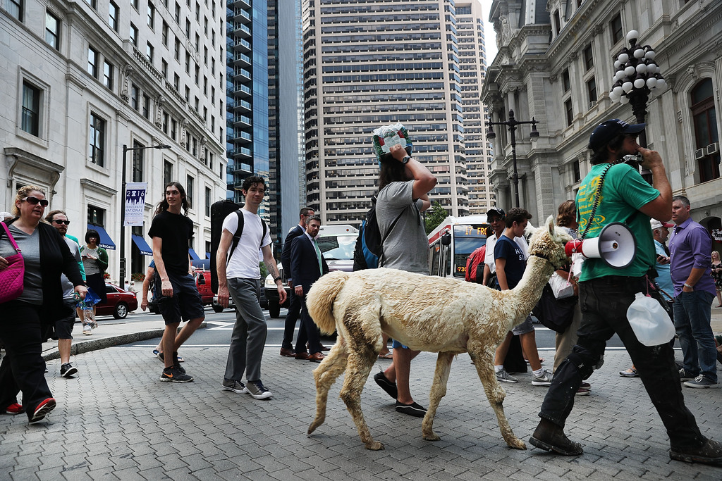 Fotók: Spencer Platt/Getty Images